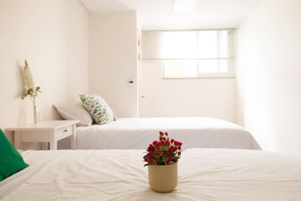 Station Ivy House Apartment *
